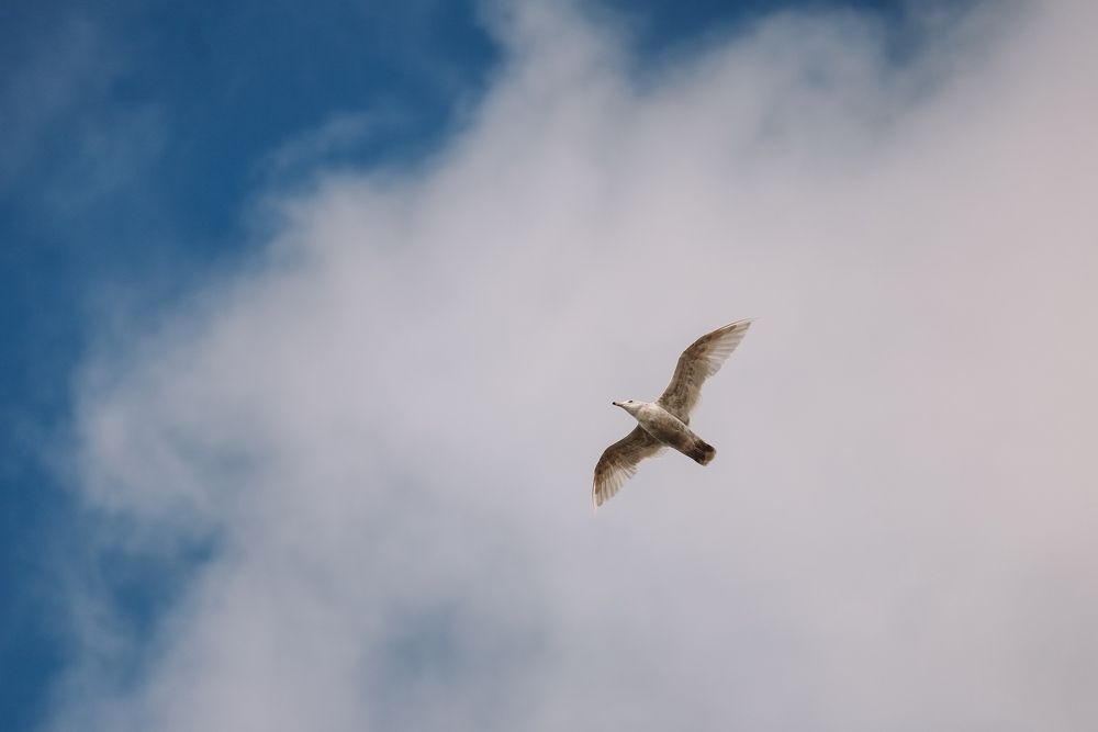 Photograph by Александр Перегоненко