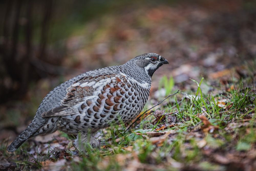 Photograph by Александр Перегоненко