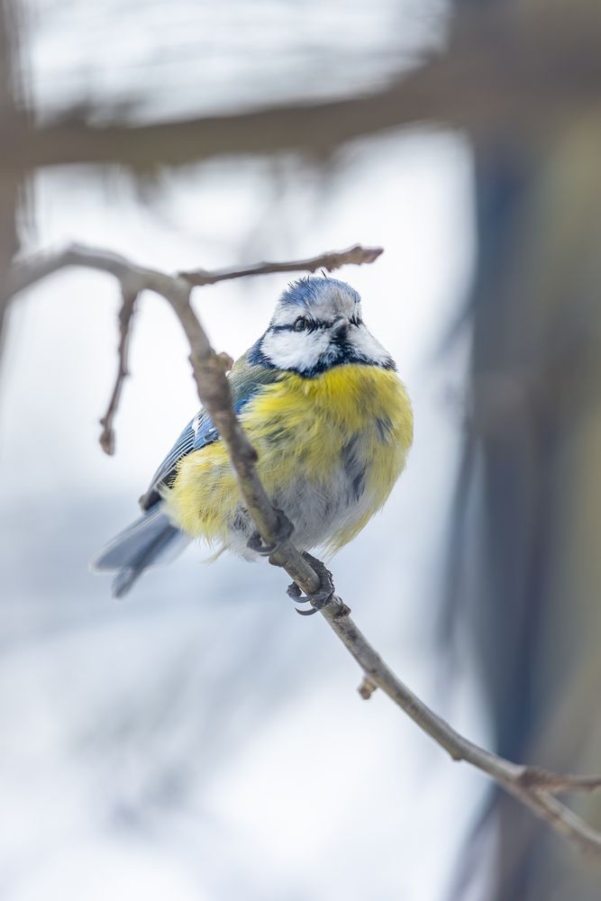 Photograph by Siarhei Saladukhin