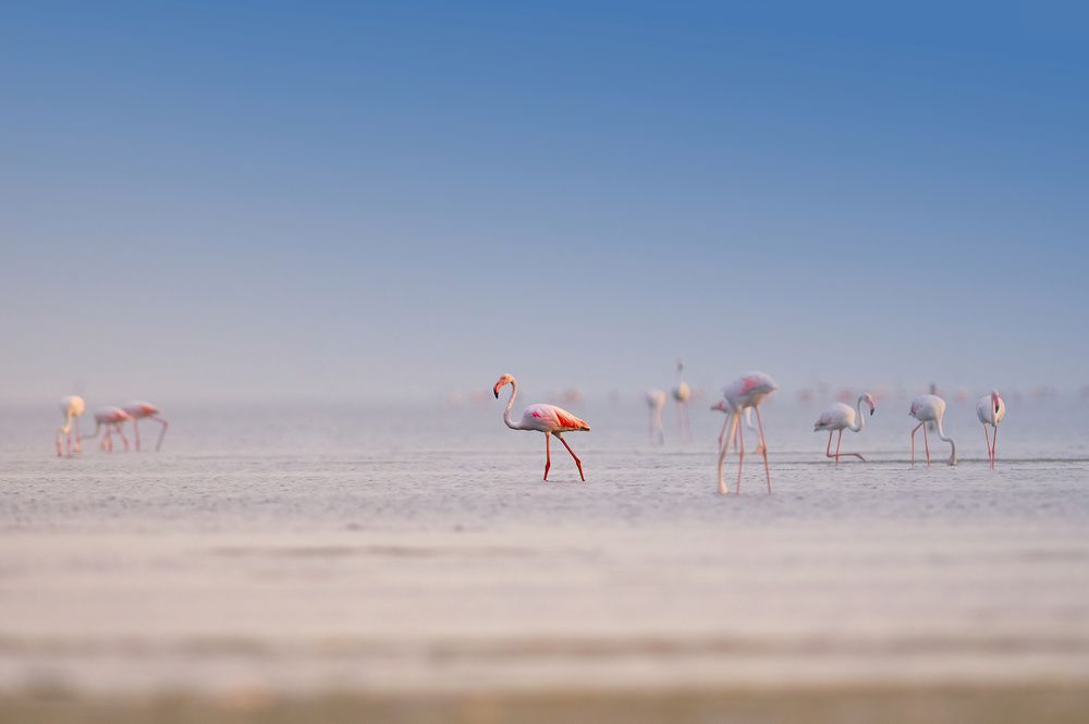 Photograph by G N RAJA