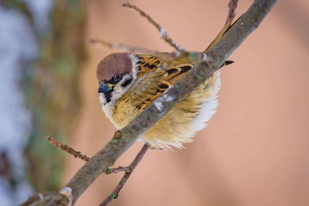 Photograph by Siarhei Saladukhin