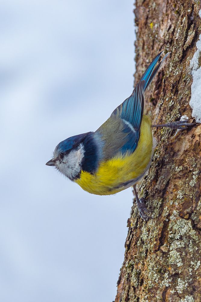 Photograph by Siarhei Saladukhin