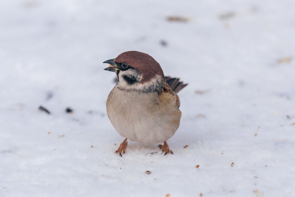 Photograph by Siarhei Saladukhin