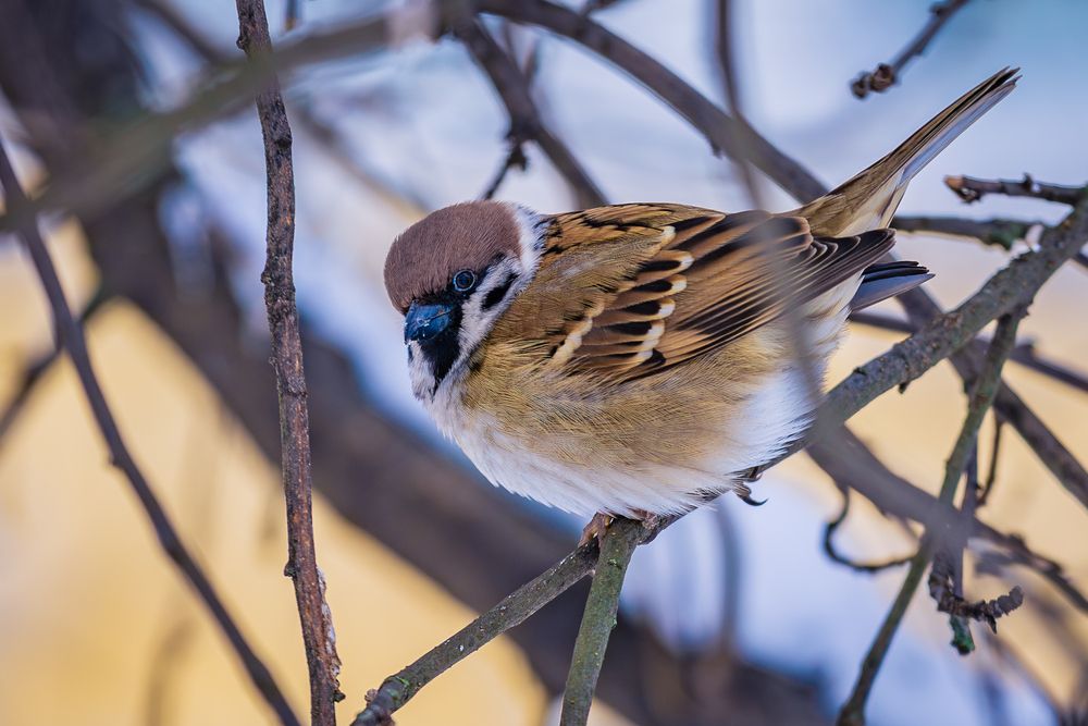 Photograph by Siarhei Saladukhin