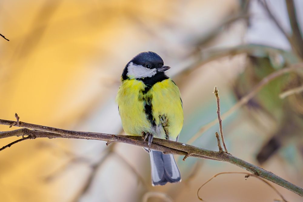Photograph by Siarhei Saladukhin