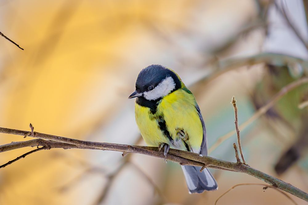 Photograph by Siarhei Saladukhin
