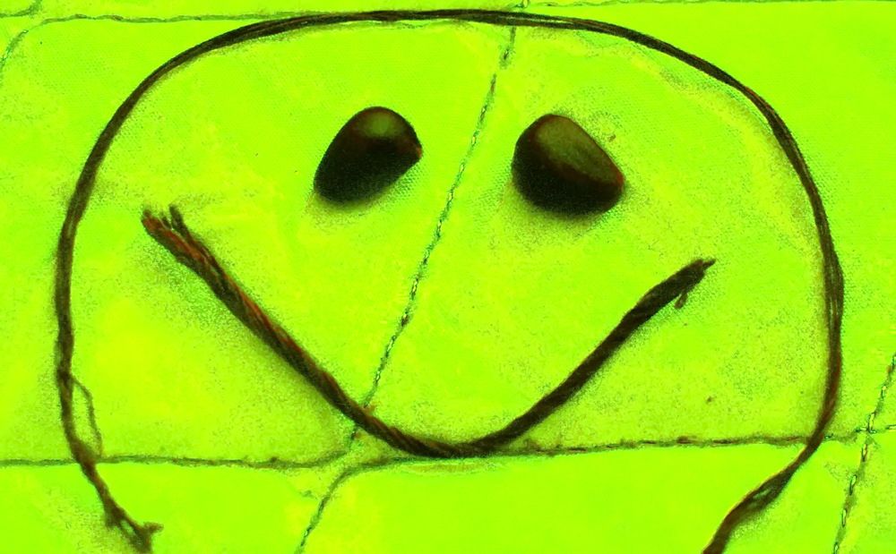 Photograph by НИНА АВЕРЬЯНОВА