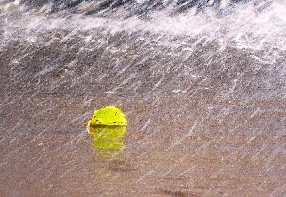 Photograph by Виктория Спицына