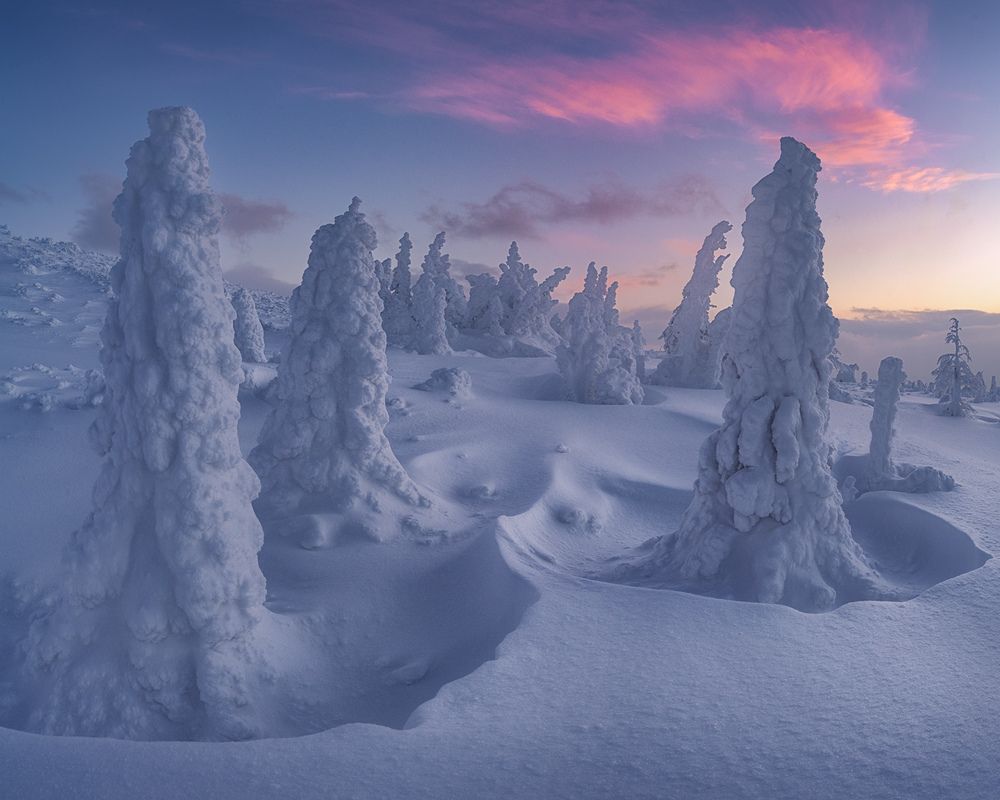 Photograph by Dmitry Medyancev