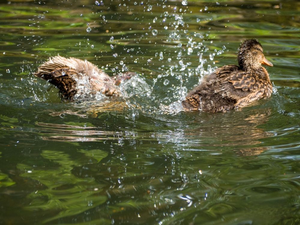 Photograph by Edgars Kublins