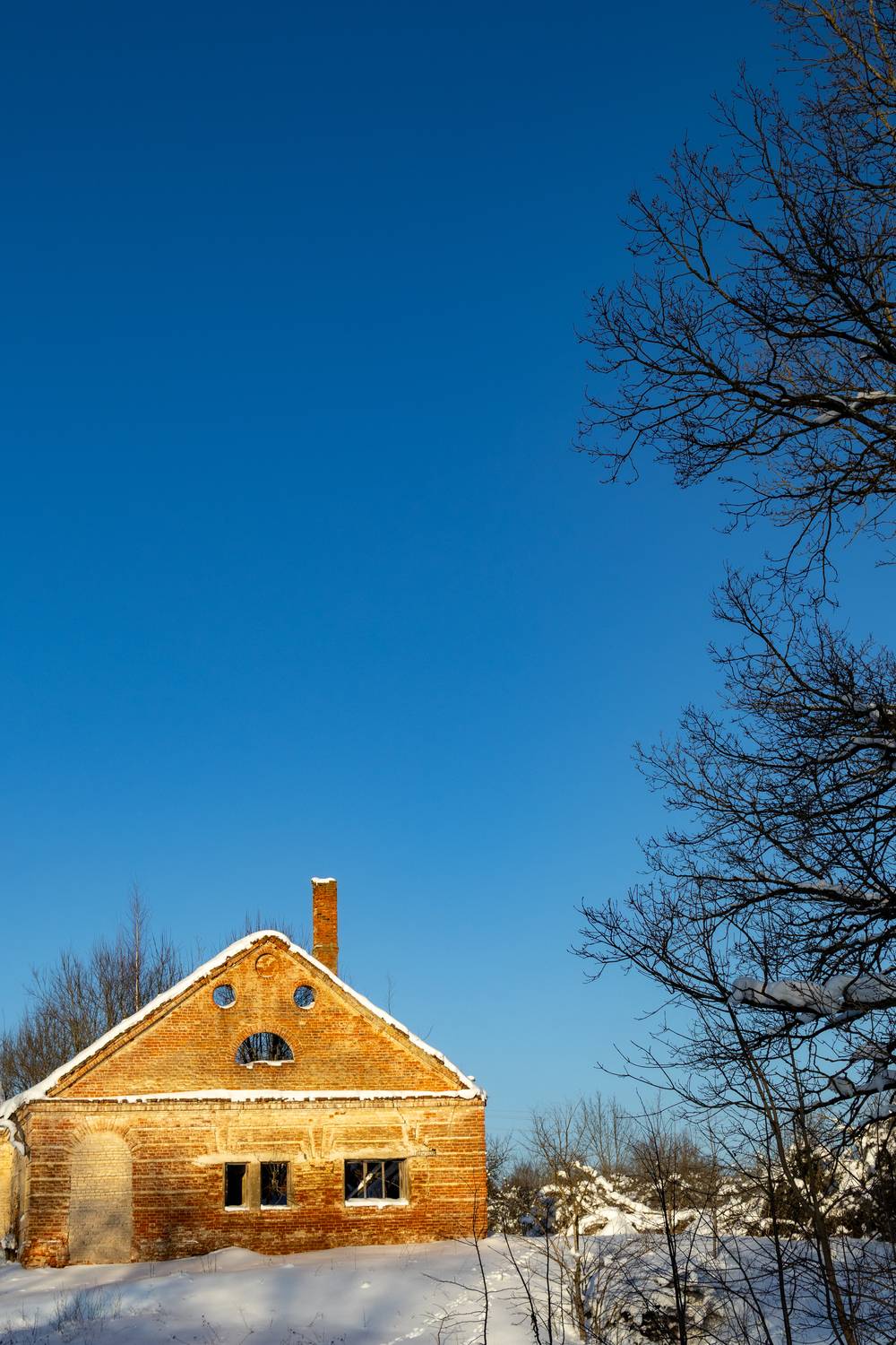 Фотография #13134858