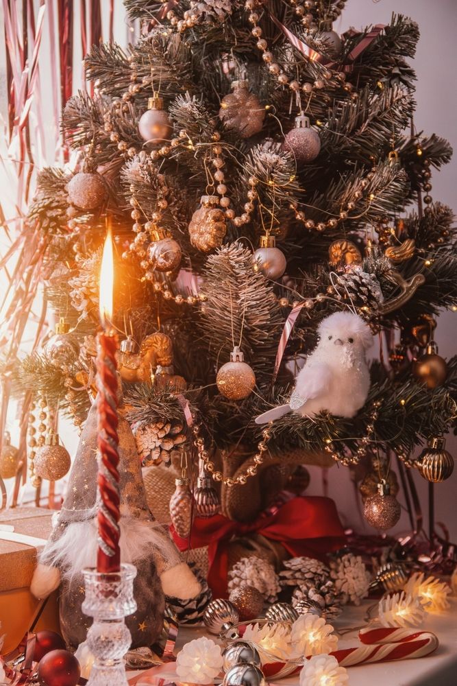 Photograph by Анна Любимова