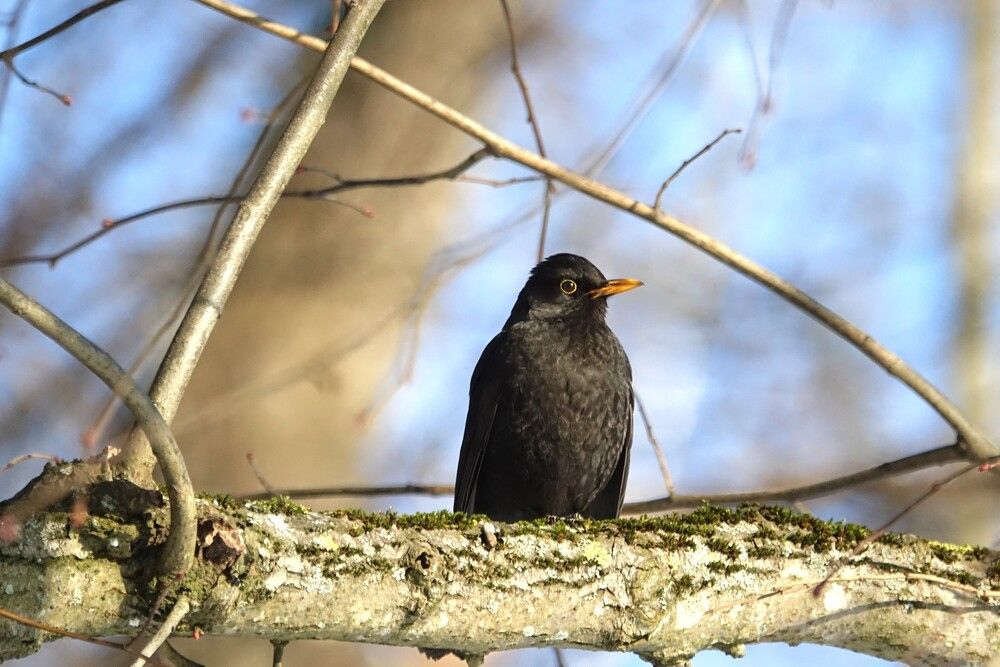 Photograph by jelena konickaja
