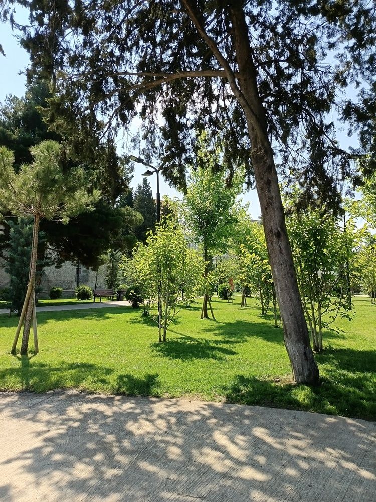 Фотография автора Светлана