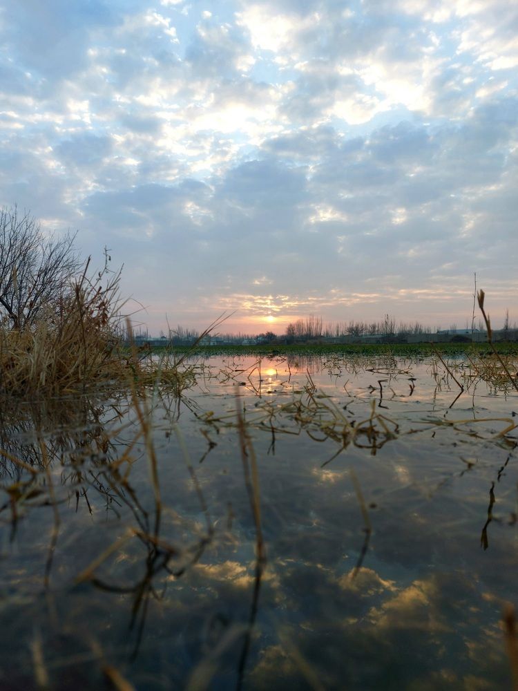 Photograph by Сабир Хакимов
