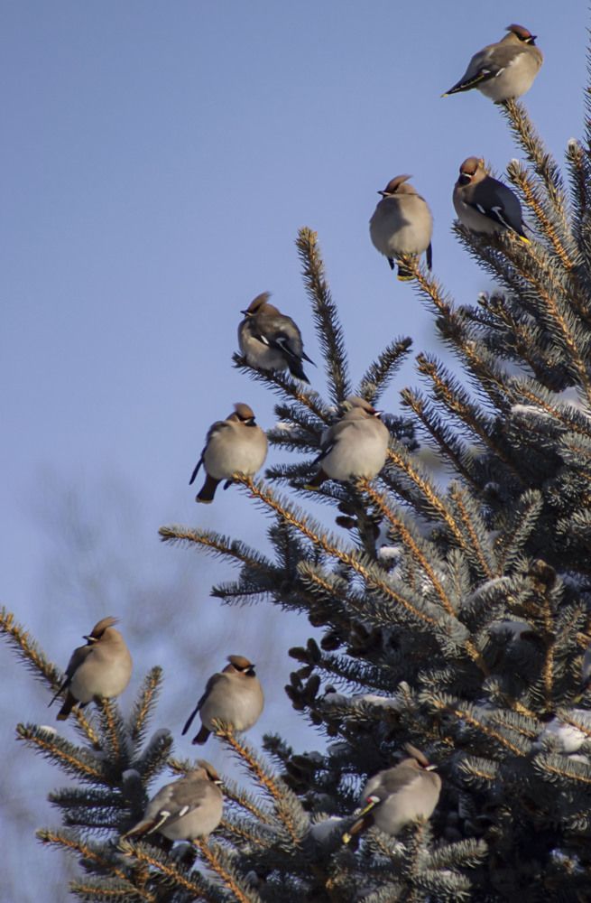 Photograph by Елена Рудкевич