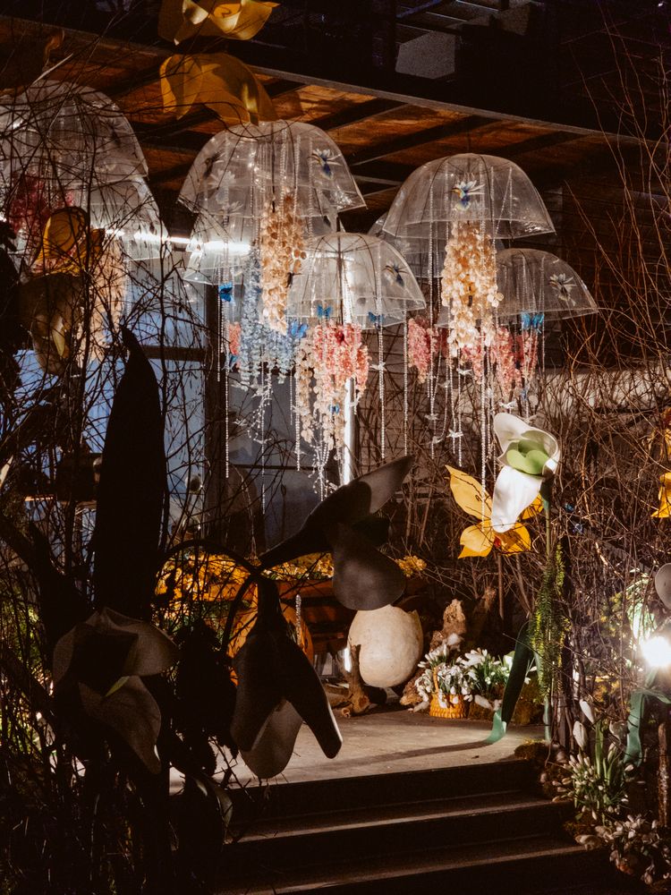 Photograph by Irina Chka