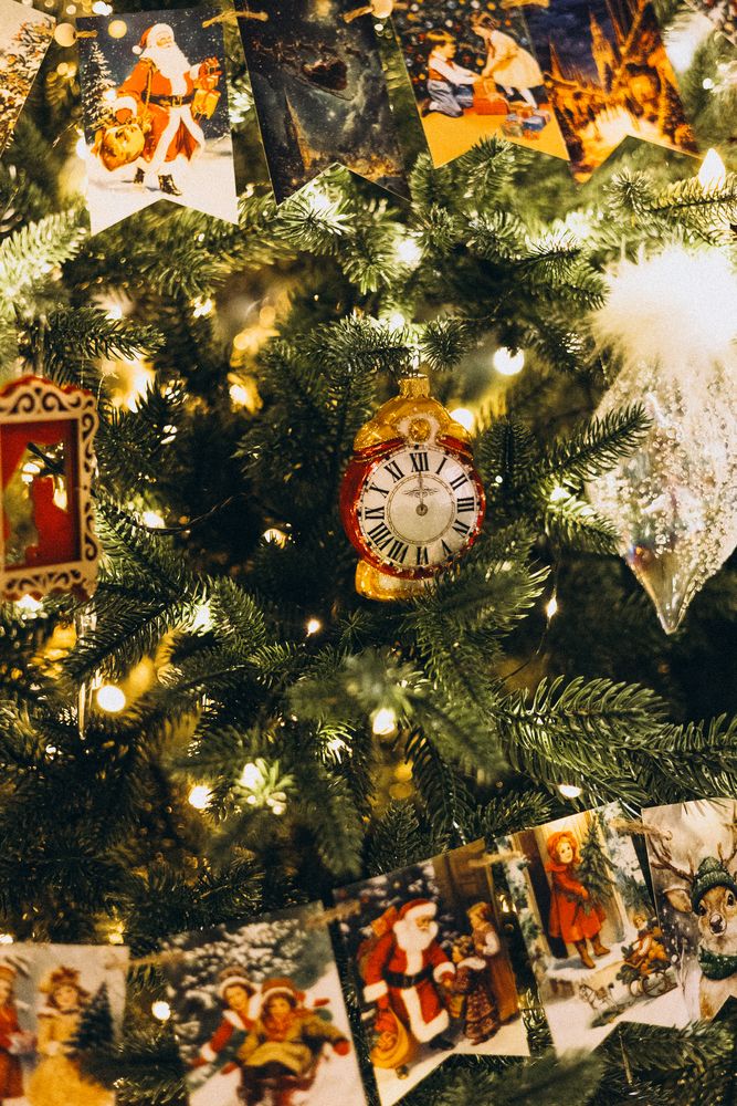 Photograph by Irina Chka