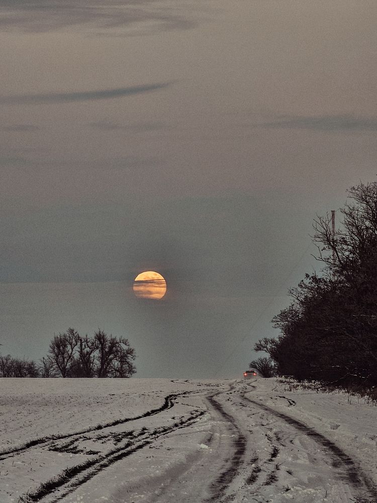 Photograph by Irina Chka