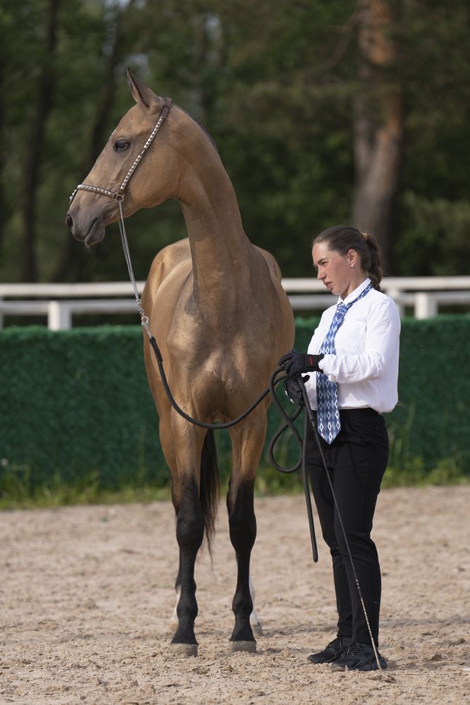 Photograph by Дейнекина Галина