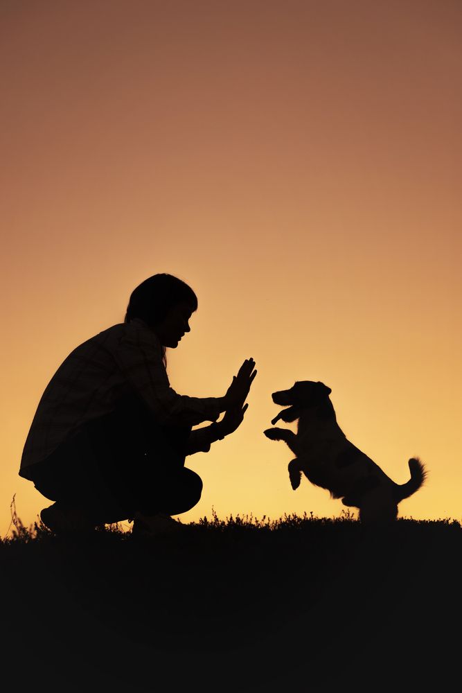 Photograph by Марина Дятлова