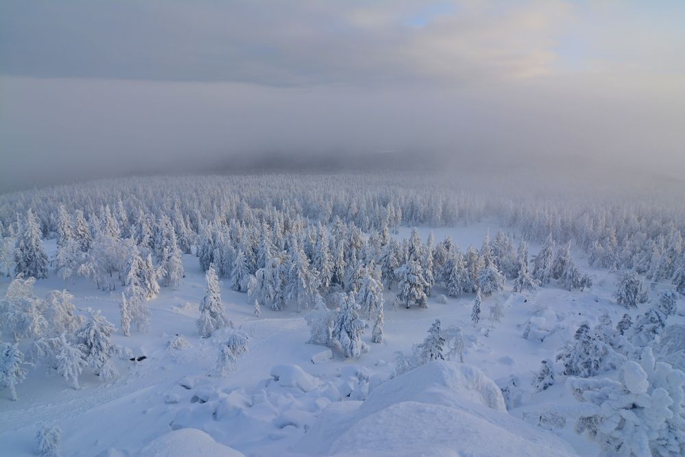 Photograph by Самигулов Хафиз