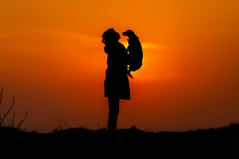 Photograph by Константин Чижов