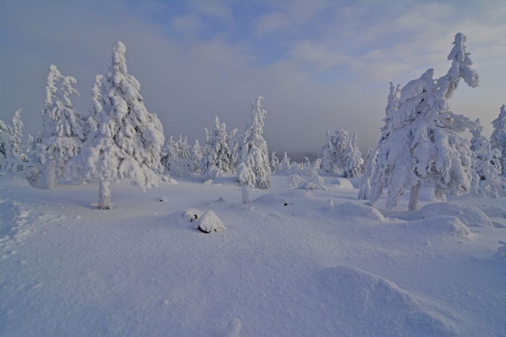 Photograph by Самигулов Хафиз