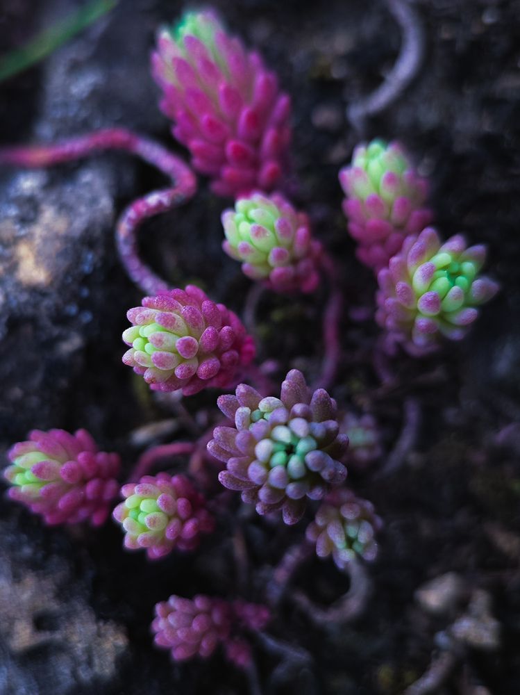 Photograph by Игорь Кабанов