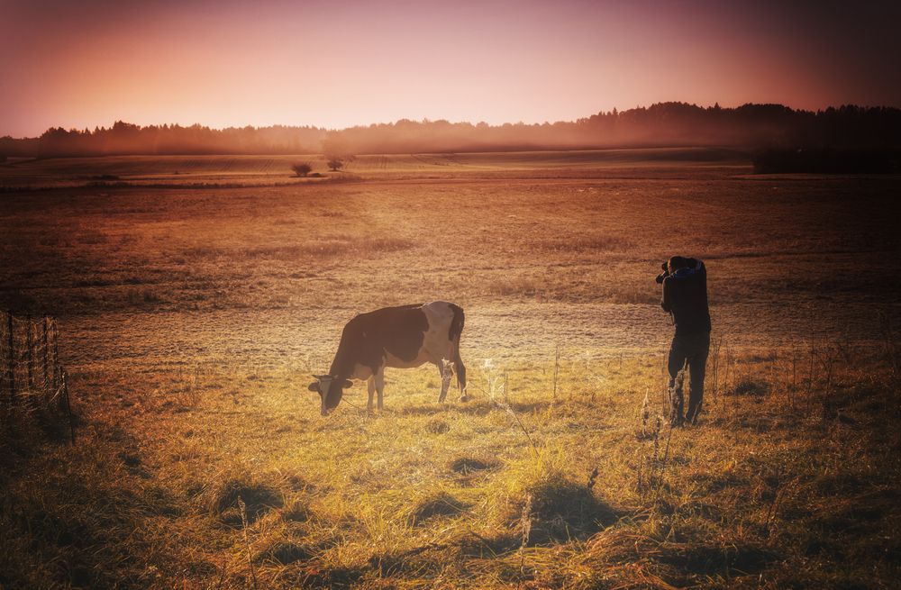 Фотография автора Lija Mežecka