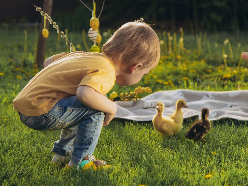 Photograph by Irina Chka