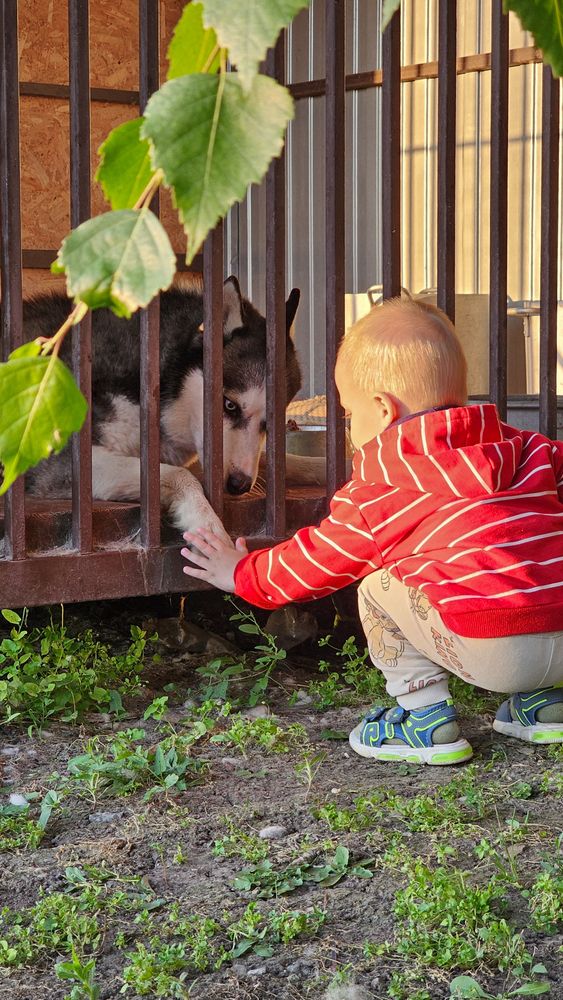 Photograph by Irina Chka