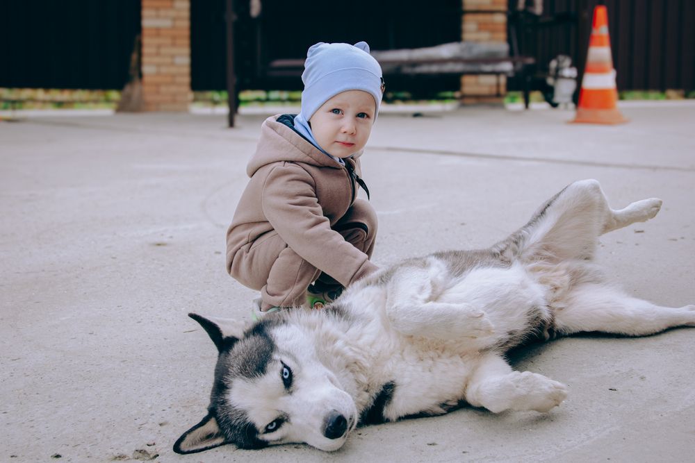 Photograph by Irina Chka