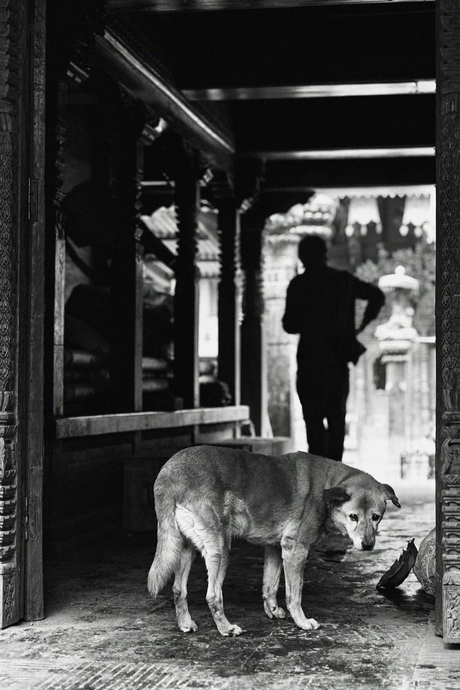 Photograph by Елена Гридневская