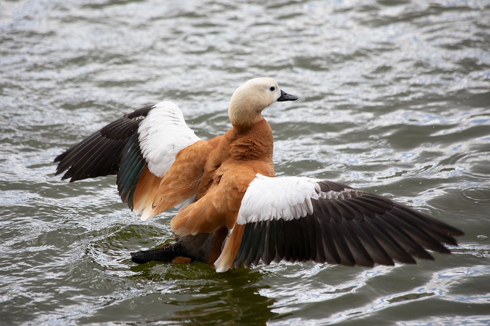 Photograph by Полина Ф