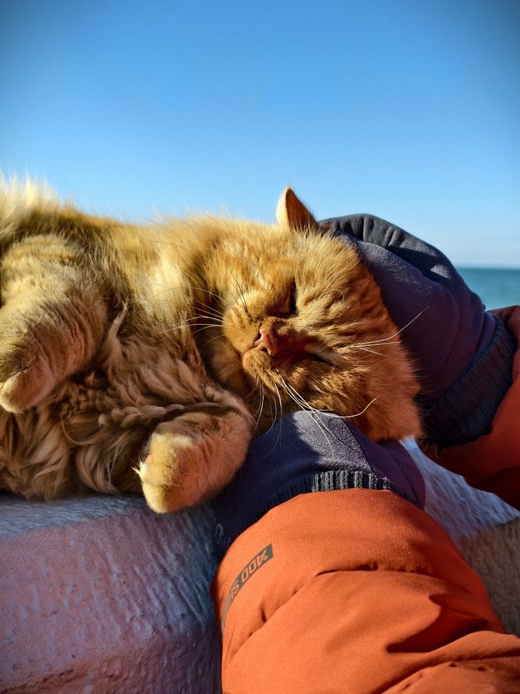 Photograph by Галина Бессуднова