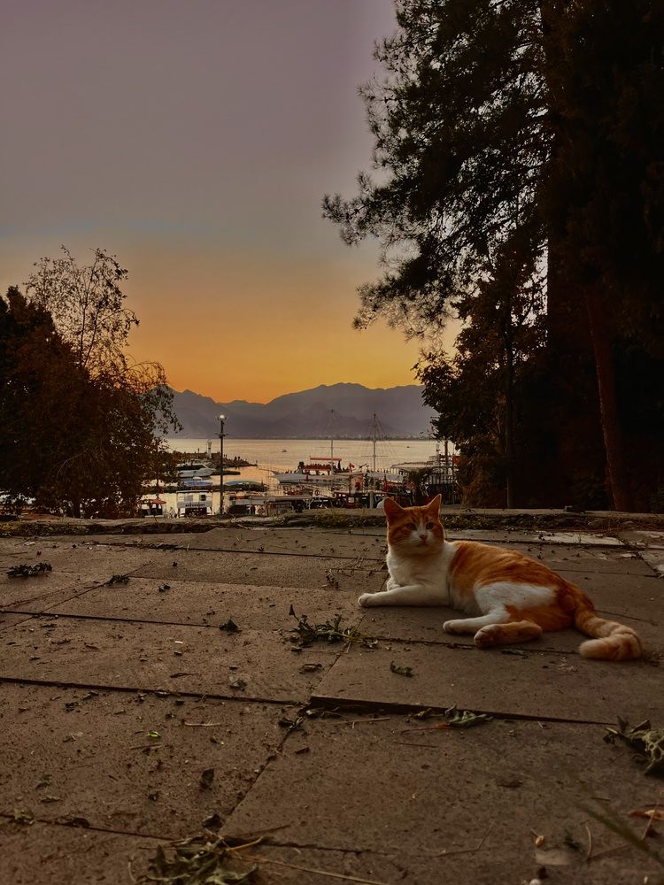 Mediterranean Sunset Gaze