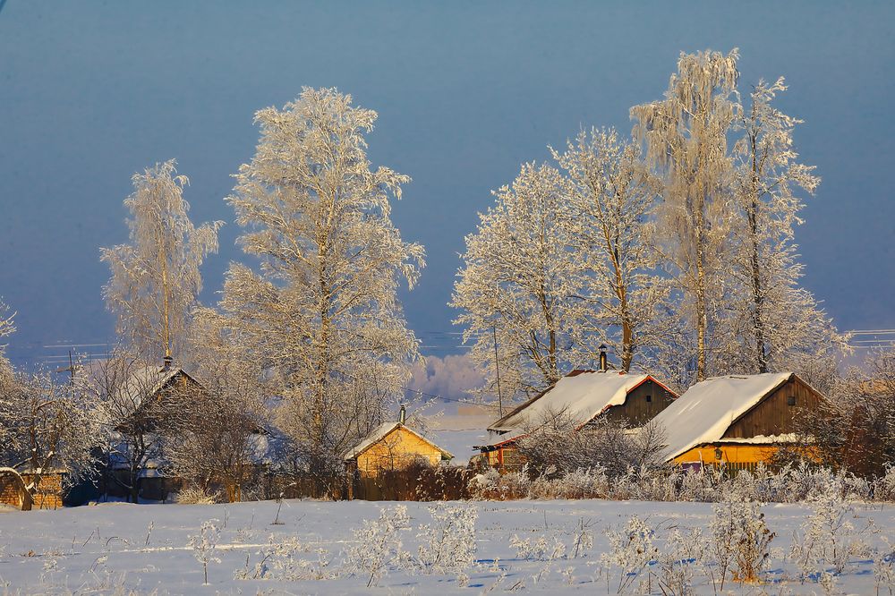 Photograph by Николай Протасеня