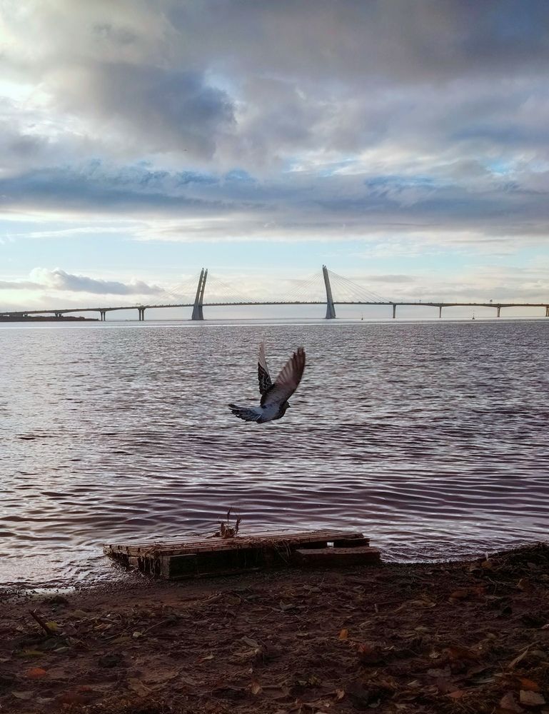 Photograph by Мария Тюрина