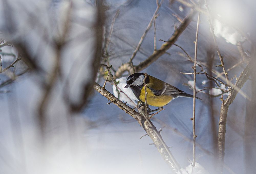 Photograph by Замятин Александр