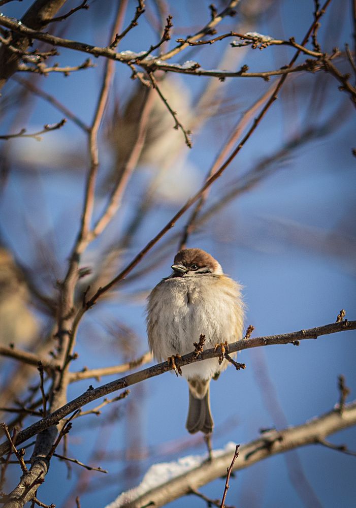 Photograph by Замятин Александр