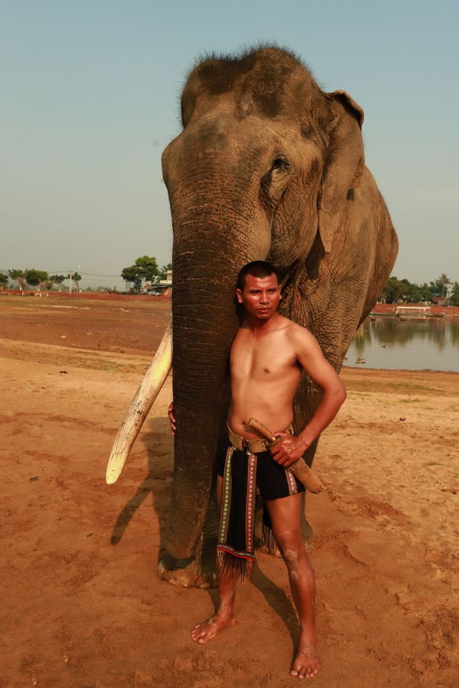 Фотография автора QUAN NGUYEN HUNG