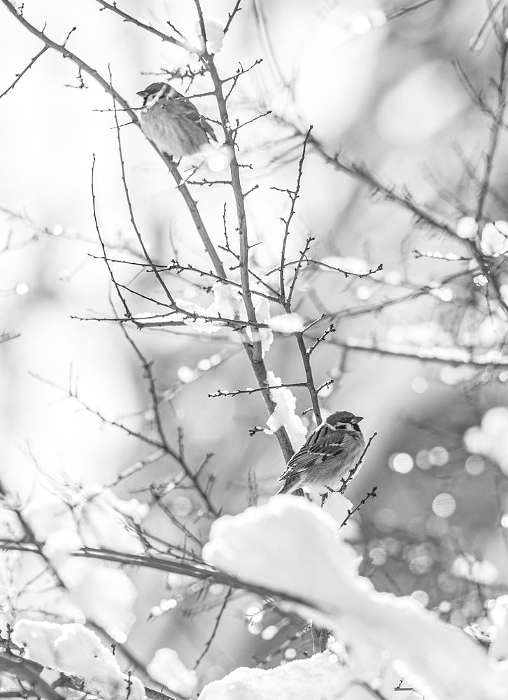 Photograph by Замятин Александр