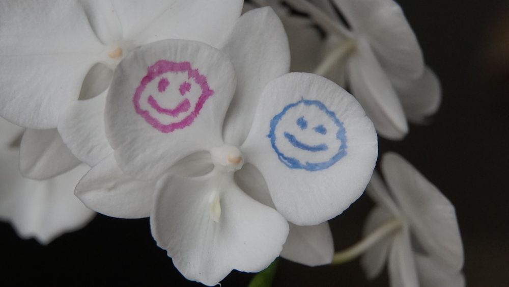 Photograph by сергей мишаков