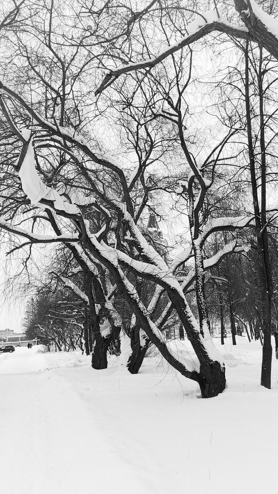 Photograph by Елена Силантьева