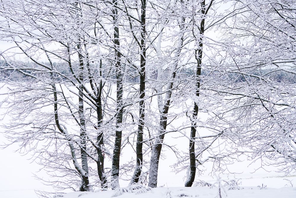 Фотография автора Алексей Курносов