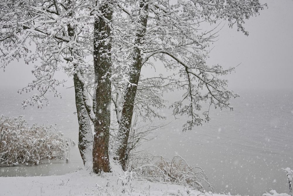 Фотография автора Алексей Курносов