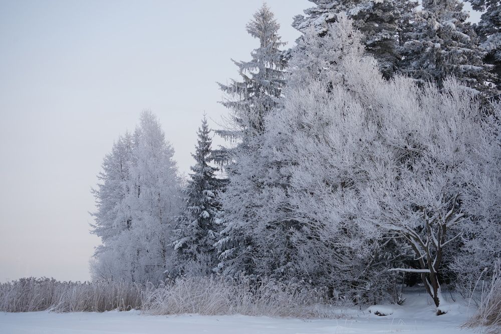 Фотография автора Алексей Курносов