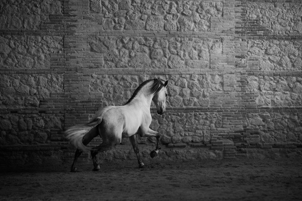 Photograph by Agata Kołodziejczyk