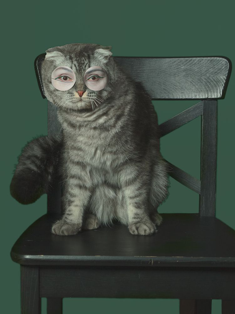 Photograph by Marina Manucharian